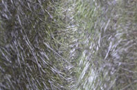 Harle Syke fibreglass roof work